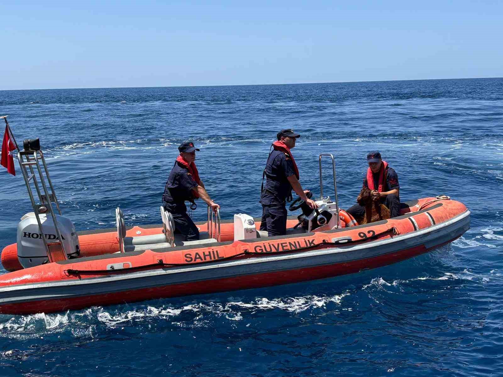 Alanya Kalesi’nde kayalık bölgede mahsur kalan dağ keçisi kurtarıldı