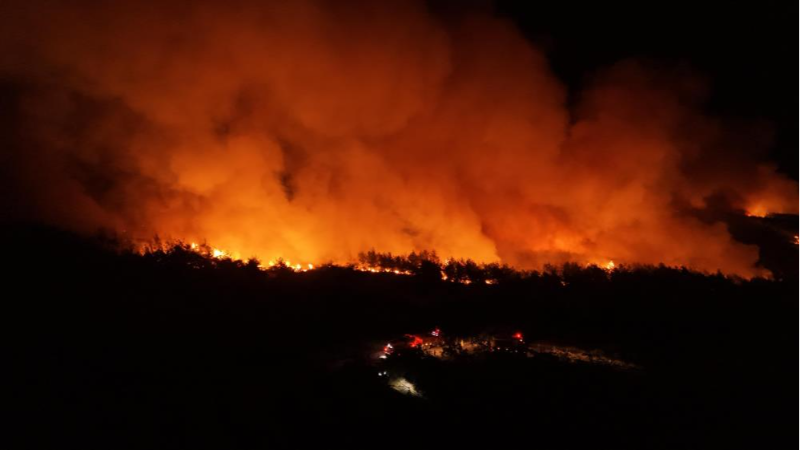 Alevler Tekirdağ'da geceyi gündüze çevirdi