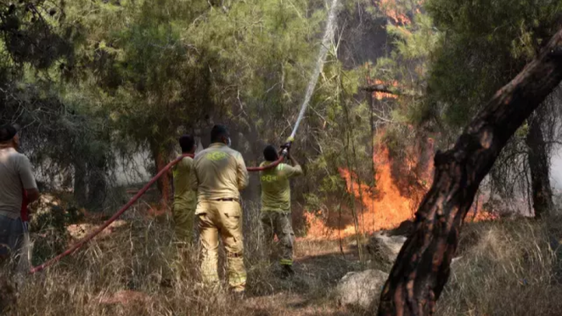Antalya'da 3 ayrı yerde büyük yangın; Birçok ev taliye edildi
