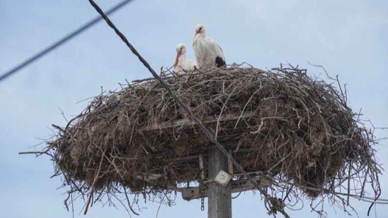 Bakan Yumaklı’dan ‘Yaren’ paylaşımı