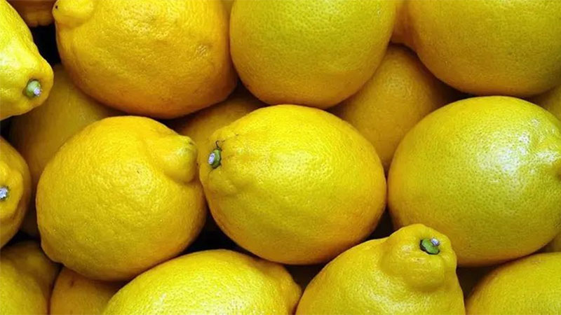 Bakanlık flaş karar; Limon ihracatı durduruldu!