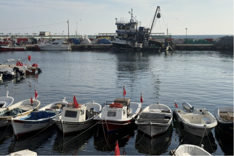 Balıkçılar yeni yılda hamsi ve çinekoptan umutlu