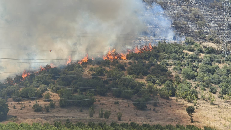 Başkan Bozbey'den son dakika açıklaması