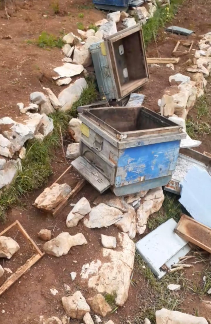 Bozkır’da ayılar arı kovanlarına zarar verdi