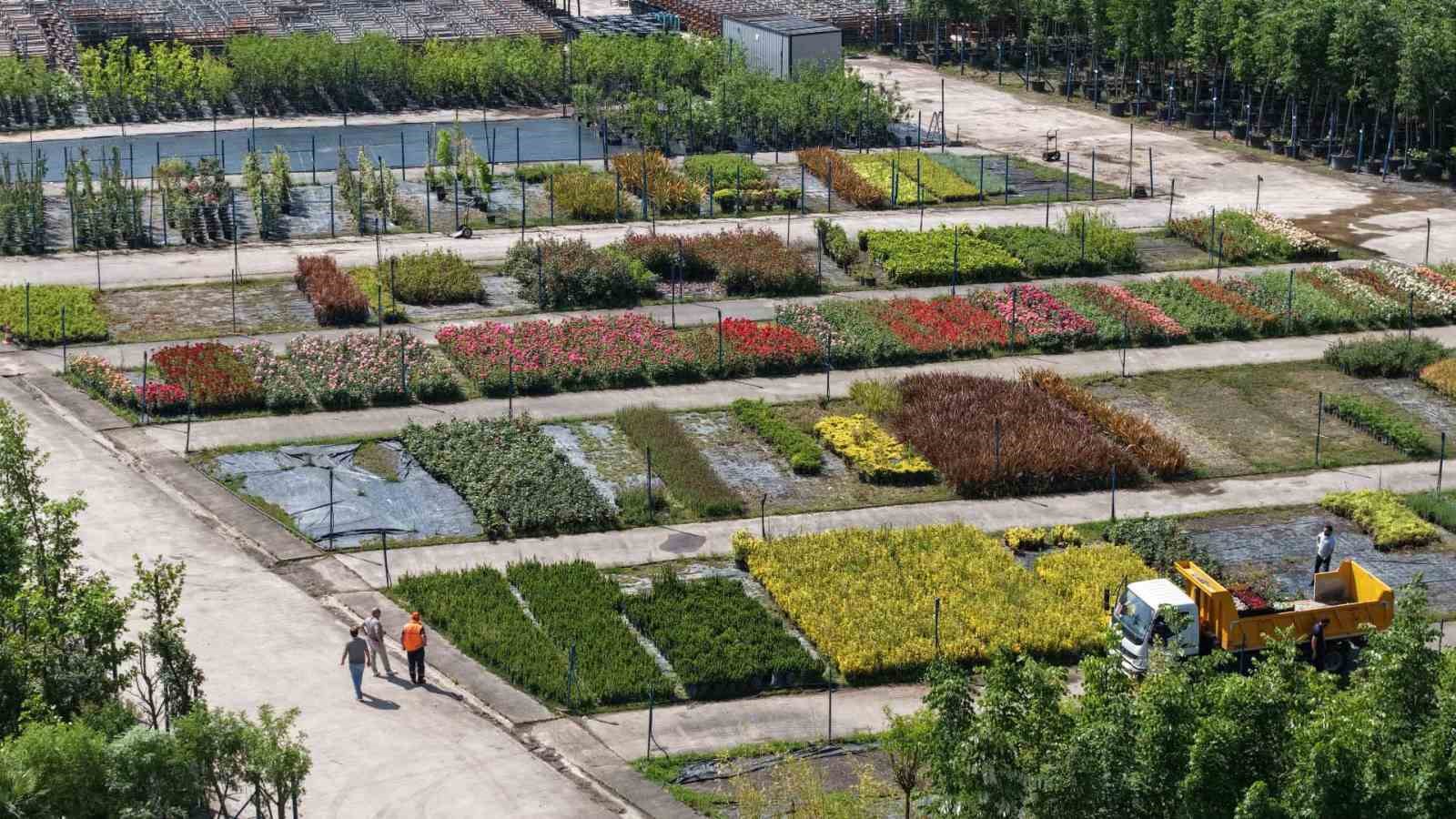 Bu fidanlık Kocaeli’yi yeşillendiriyor