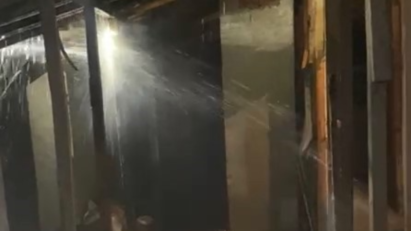 Bu şahıs Bursa Mudanya'nın kabusu oldu; Yine yangın çıkardı