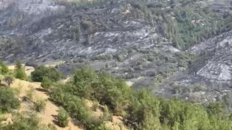 Bursa-Balıkesir sınırında çıkan orman yangını kontrol altına alındı