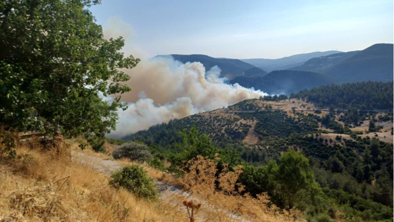 Bursa-Balıkesir sınırında orman yangını