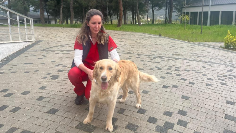 Bursa Büyükşehir, bayramda da can dostların yanında