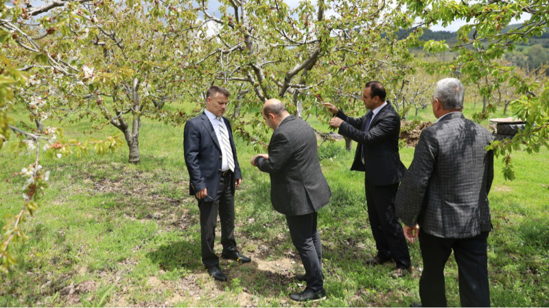 Bursa Büyükşehir Kelesli çiftçinin yanında