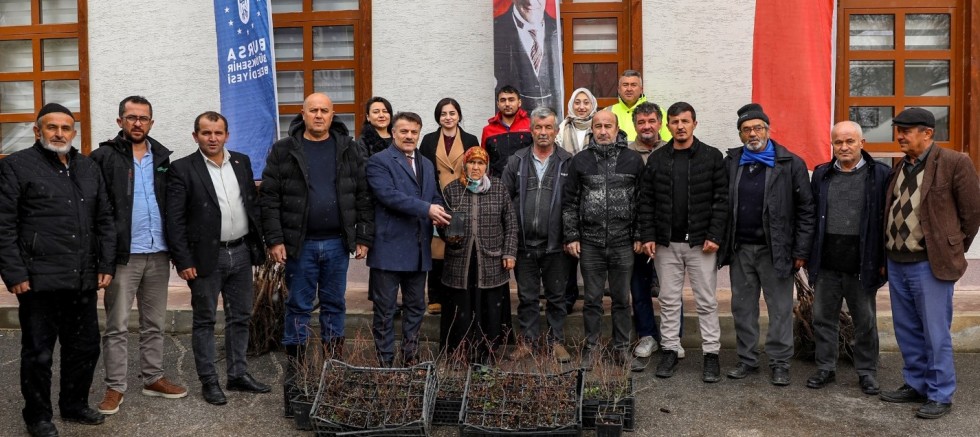 Bursa Büyükşehir üreticinin yüzünü güldürüyor