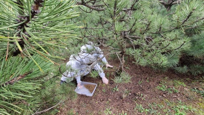 Bursa'da doğanın sessiz kahramanları görev başında