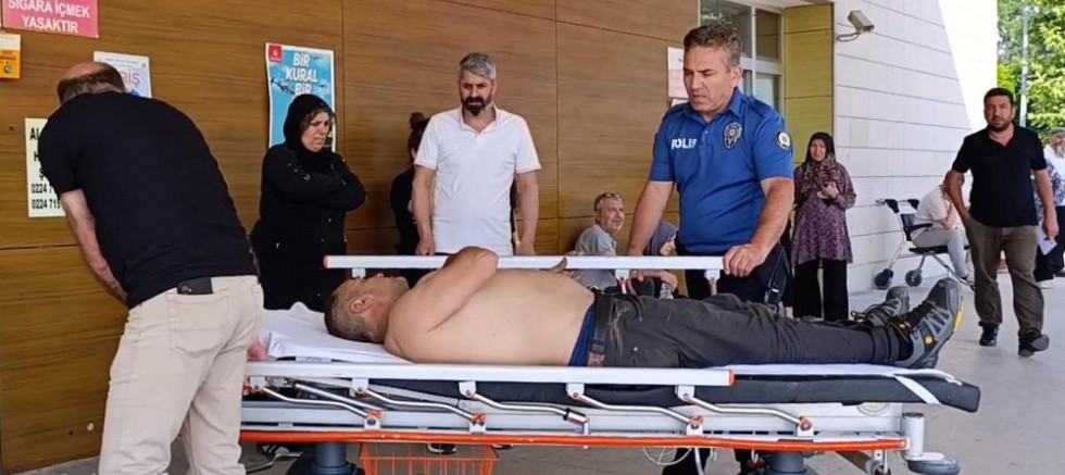 Bursa’da kiraz toplamak için ağaca çıktı, olanlar oldu