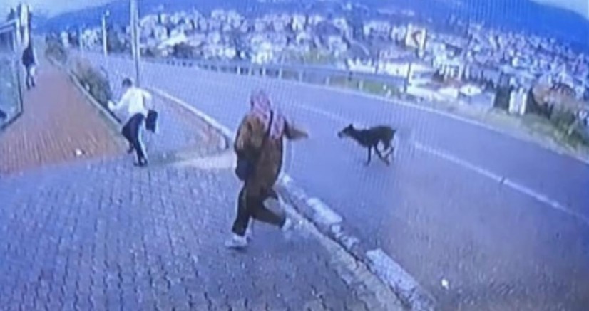 Bursa’da köpekten kaçarken başına bakın neler geldi!