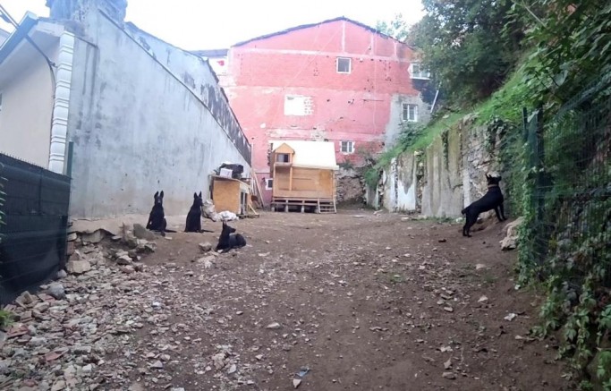 Bursa'da mahalleliyi isyan ettiren olay; Çözüm bekliyorlar...