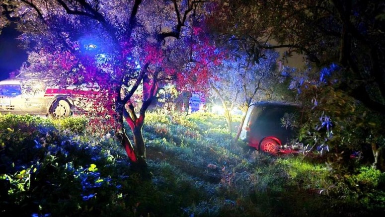 Bursa’da önündeki araca çarpmadı, zeytinliğe uçtu!