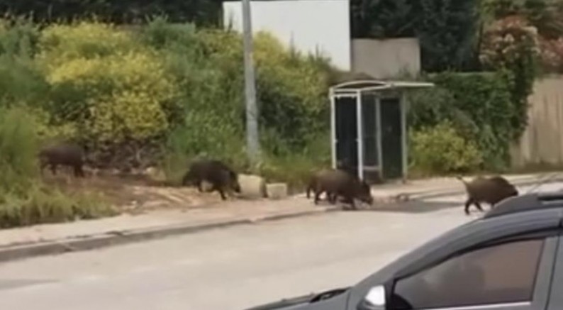 Bursa'da şehir merkezinde şok görüntü!