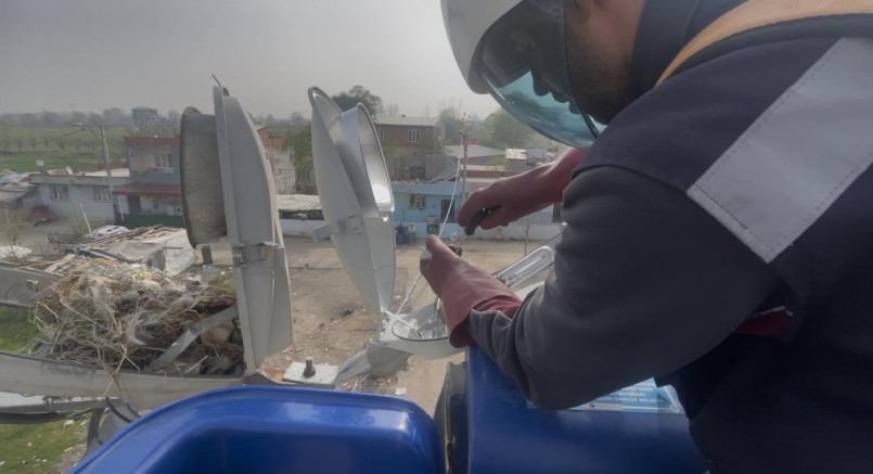 Bursa'da sokak lambaları kuşlara yuva oldu