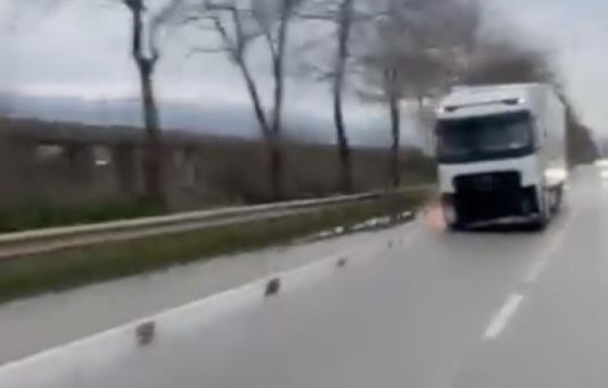 Bursa'da tır kabusu; Olay yerinde kaçtı...