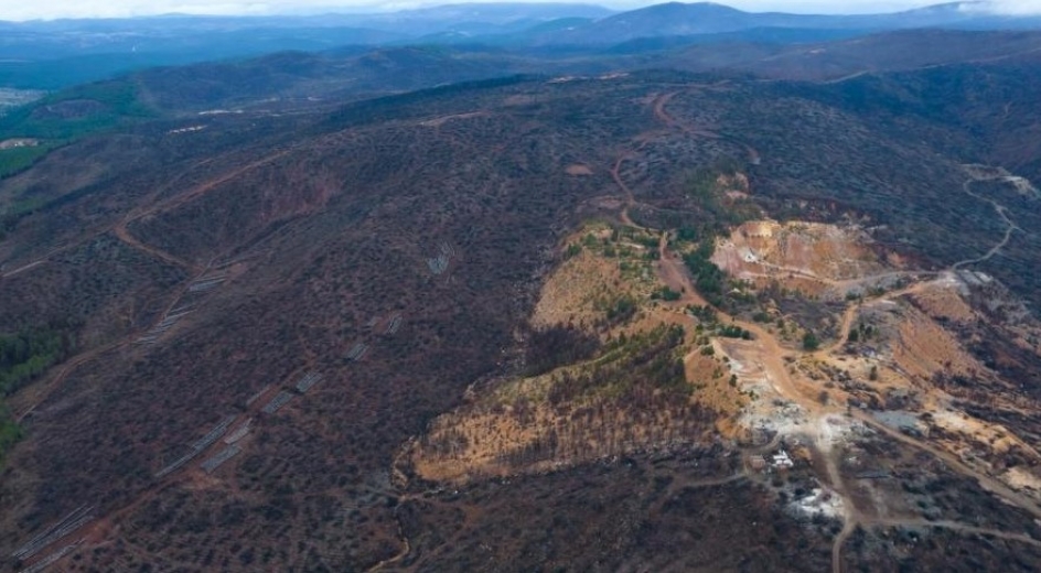 Bursa’da yanan binlerce hektar alan ne durumda?