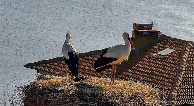 Bursa'da Yaren, Nazlı'sına kavuştu