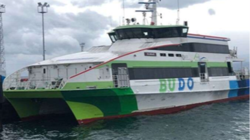 Bursa Deniz Otobüslerinin 8 seferleri iptal edildi