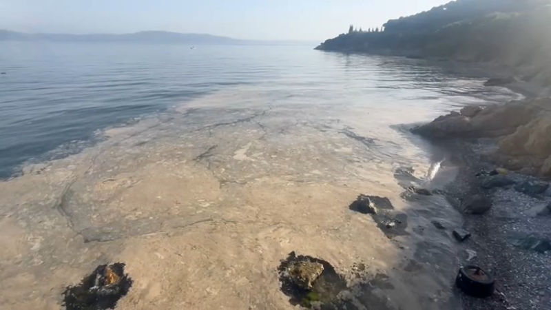 Bursa Gemlik'te korkutan görüntü; Vatandaş tedirgin...