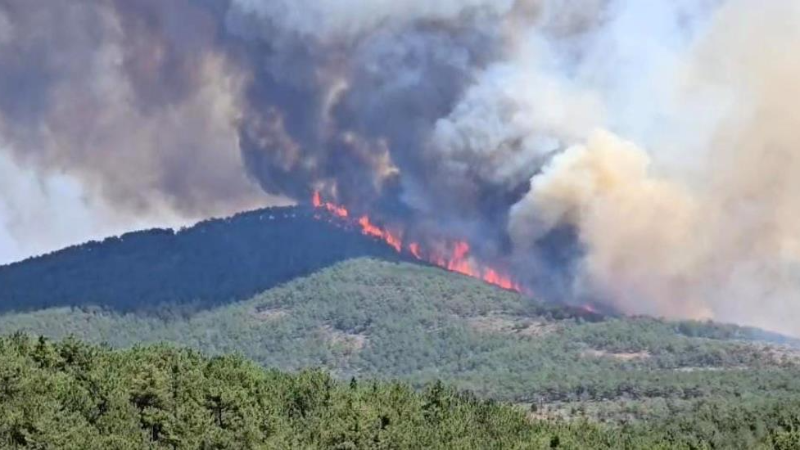 Bursa Harmancık'ta yangın yeniden başladı