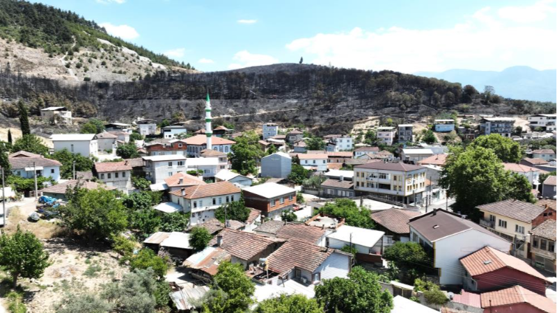 Bursa için acı görüntü...