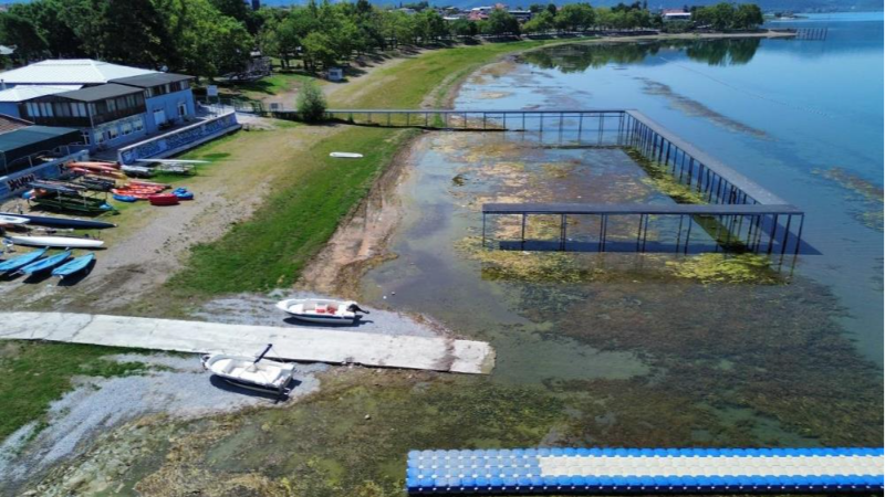 Bursa İznik Gölü'nde tedirgin eden görüntü