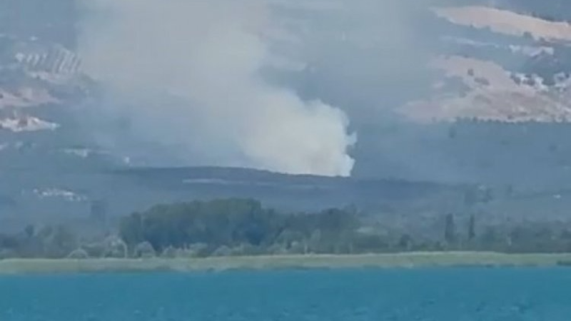 Bursa İznik'te orman yangını