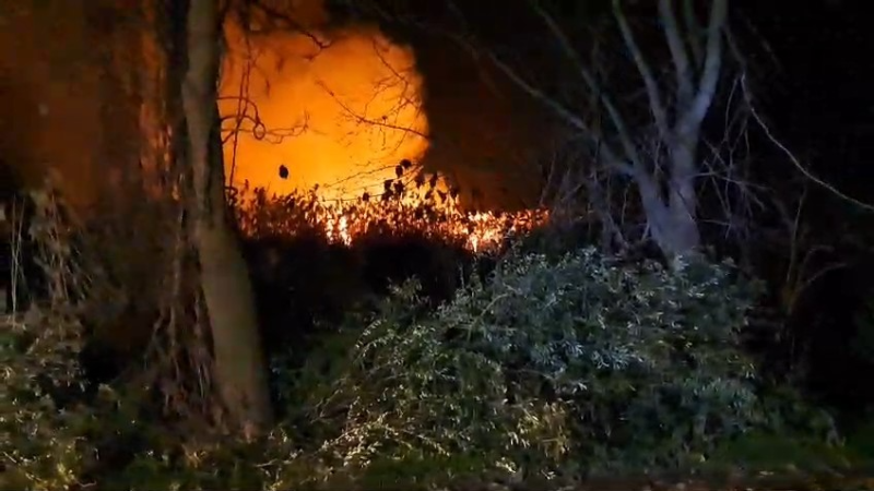 Bursa İznik’te sazlık alanda korkutan yangın