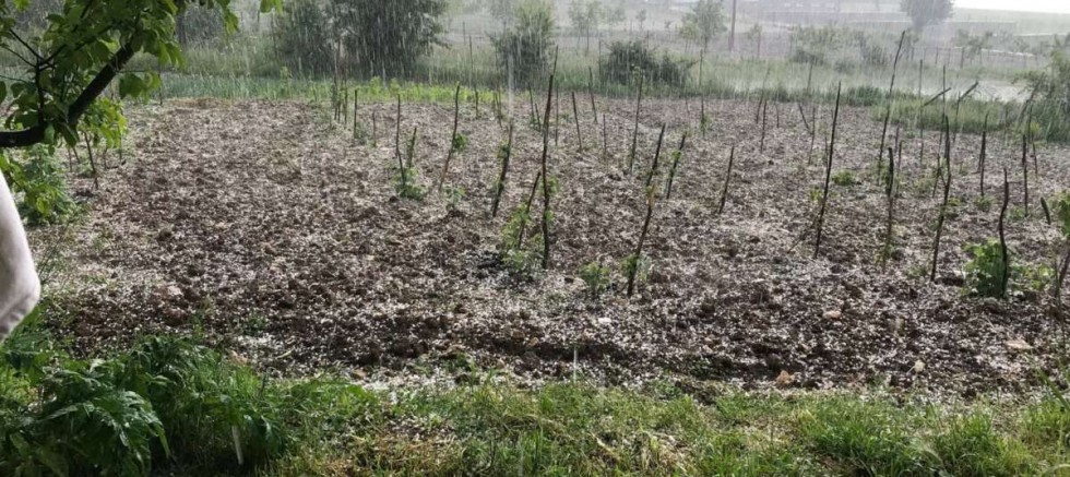Bursa Keles’te tarım arazilerine şok; Dolu yağdı böyle oldu...