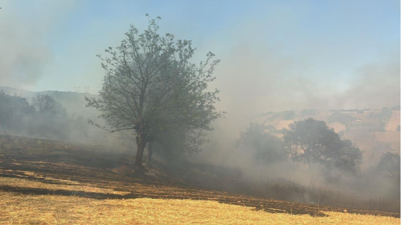 Bursa Kestel'de orman yangını; Müdahale ediliyor