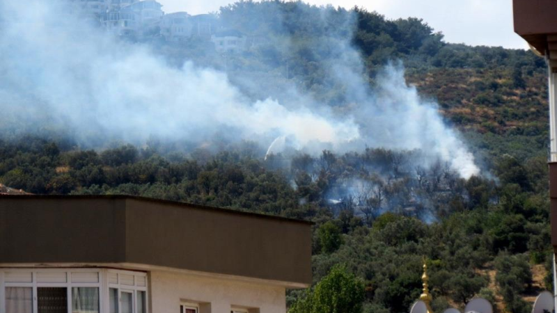 Bursa Mudanya'da alevler yükseldi; Korku dolu dakikalar...