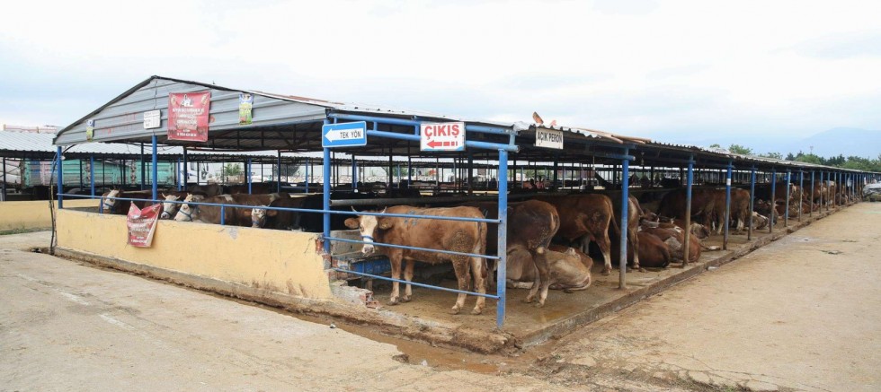 Bursa Nilüfer'de kurban kesim alanları belirlendi 