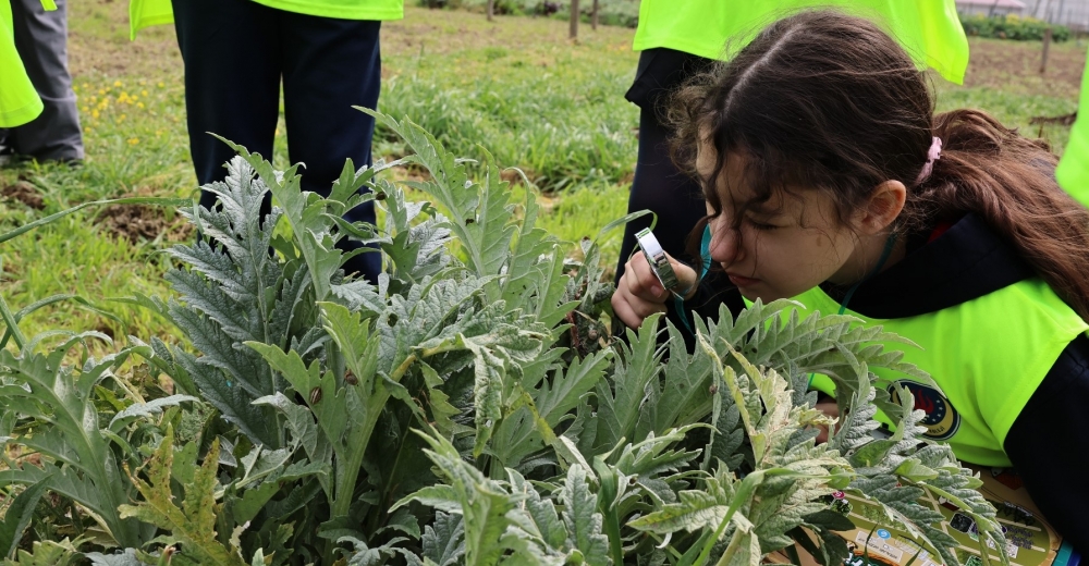 Bursa Nilüfer'de öğrenciler doğayı ve tarımı inceledi