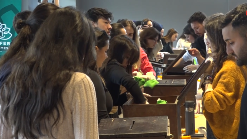 Bursa Nilüfer'de eski oy sandıkları can dostlara yuva oldu