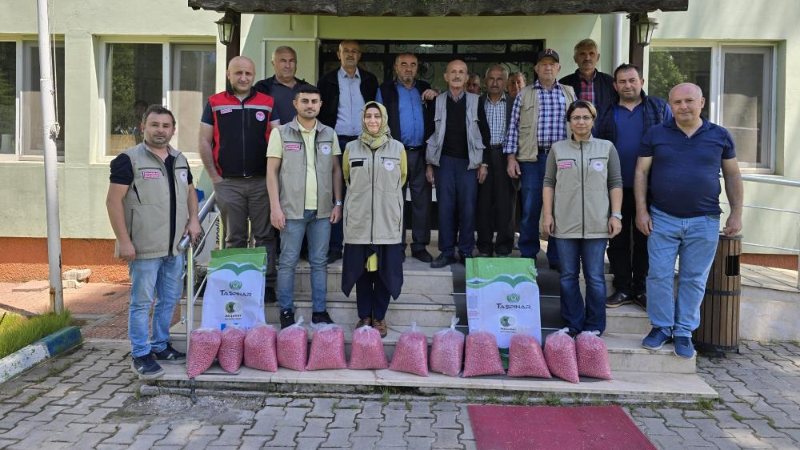 Bursa Orhanelili çiftçilerin yüzü güldü