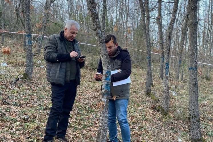 Bursa Ormanlarındaki ağaçlar tek tek kontrol edildi