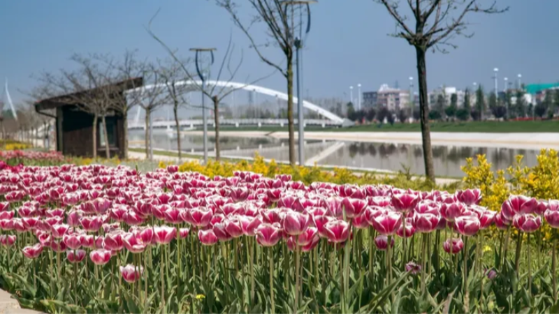 Bursa park ve bahçeleri artık çok daha güzel!