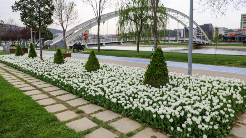 Bursa rengarenk oldu; Gören hayran kaldı