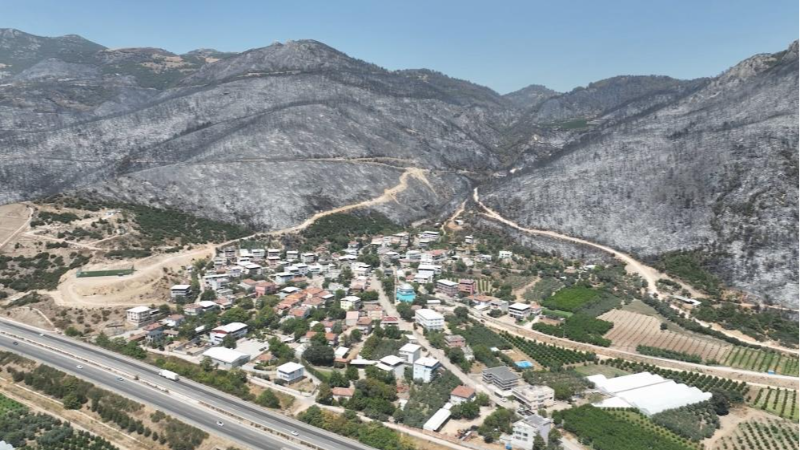 Bursa tekrar yemyeşil olacak