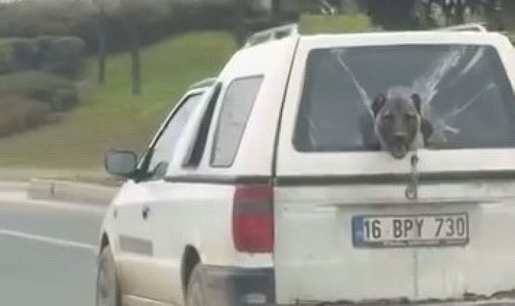 Bursa trafiğinde eğlenceli anlar!