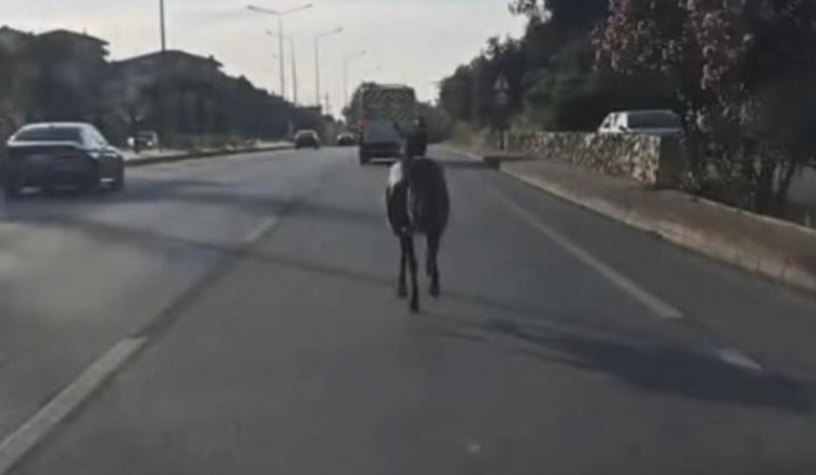 Bursa trafiğinde neler yaşanıyor neler!