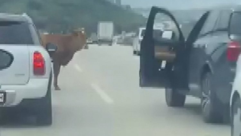 Bursa trafiğinde 'Yok artık' dedirten olay...