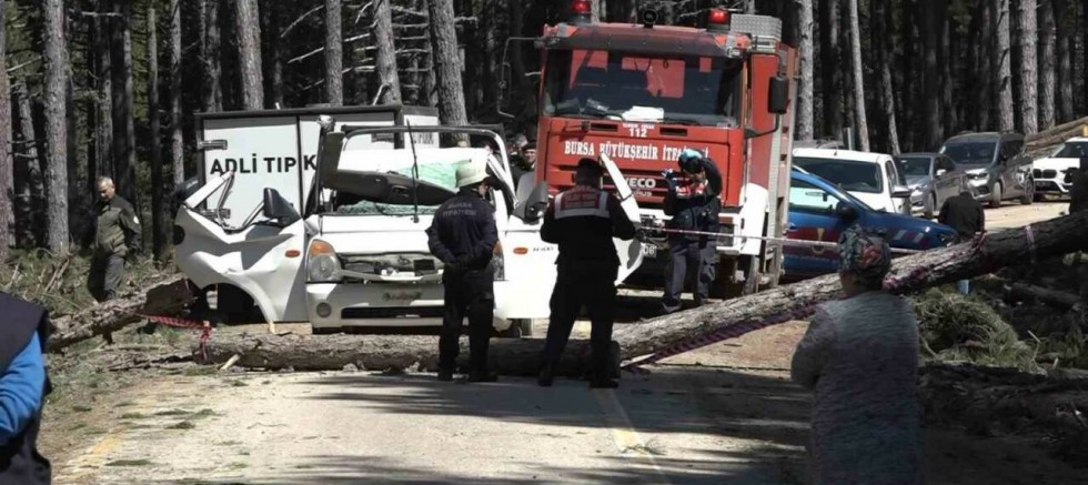 Bursa Uludağ’da kahreden ölüm; Devrilen ağaç can aldı