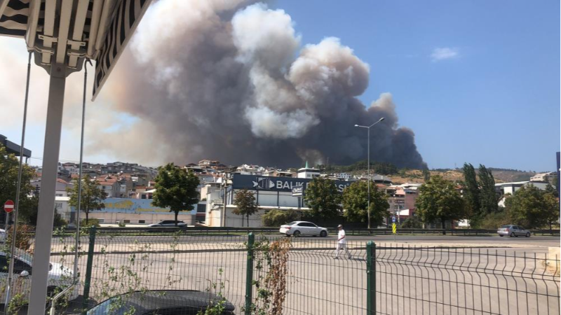 Bursa Valiliği’nden orman yangını açıklaması