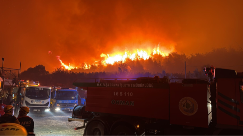 Bursa yangınından acı haber: 1 şehit