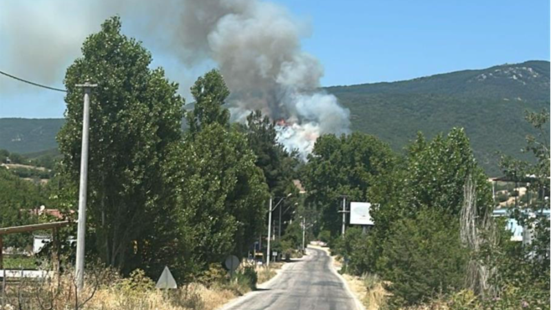 Bursa Yenişehir'de orman yangını; 3 helikopter müdahale ediyor